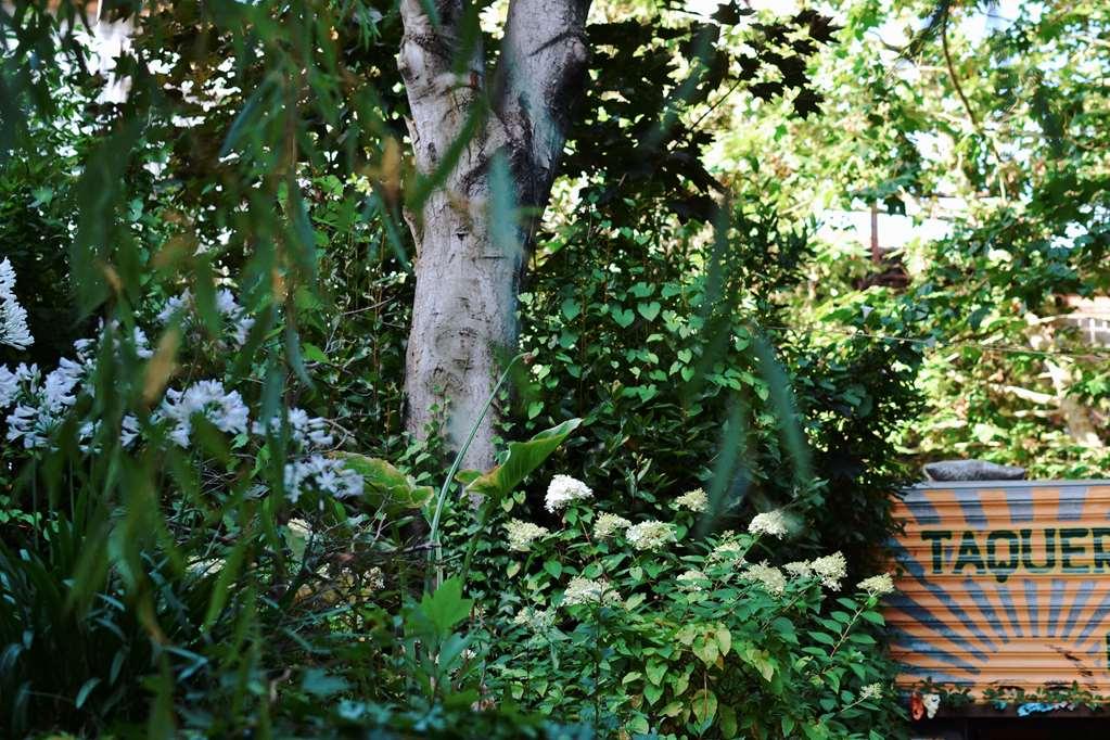 Palacio De Aviles Affiliated By Melia מסעדה תמונה The tree in 2014